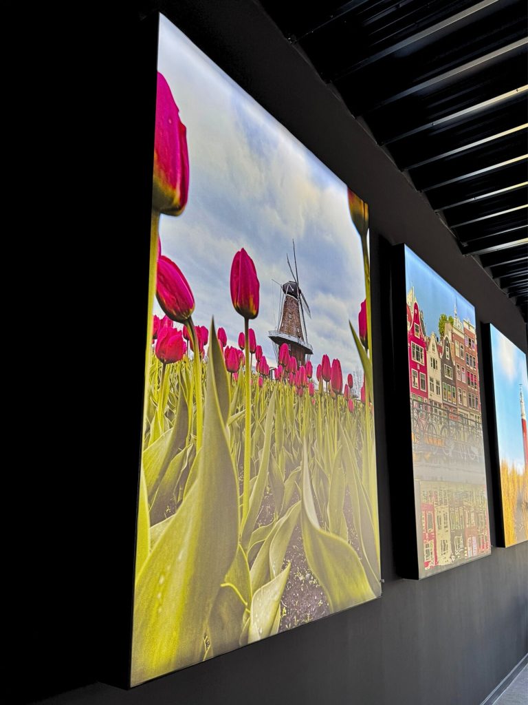Een rij canvasdoeken aan een zwarte muur, waaronder een afbeelding van rode tulpen met een traditionele windmolen en andere Nederlandse landschappen.